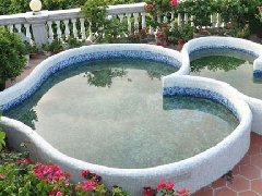 習(xí)近平會見普京